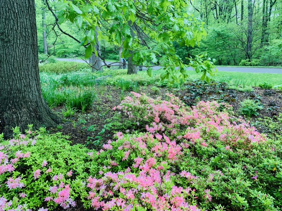 IMG_9927.jpg?type=w966