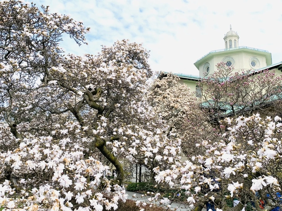 IMG_7192.jpg?type=w966