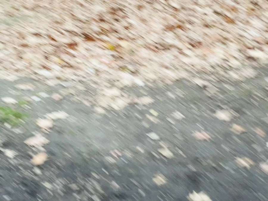 IMG_6242.jpg?type=w966