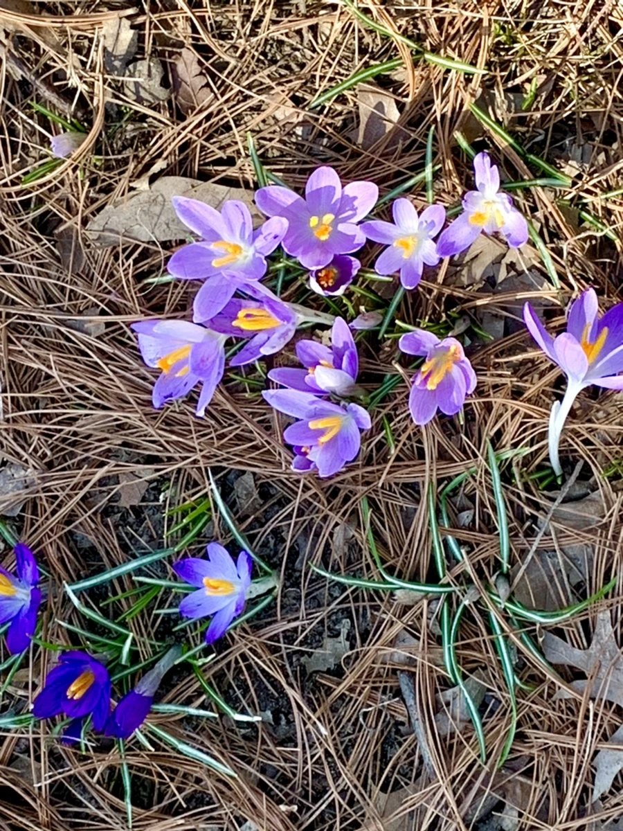 IMG_9764.jpg?type=w966