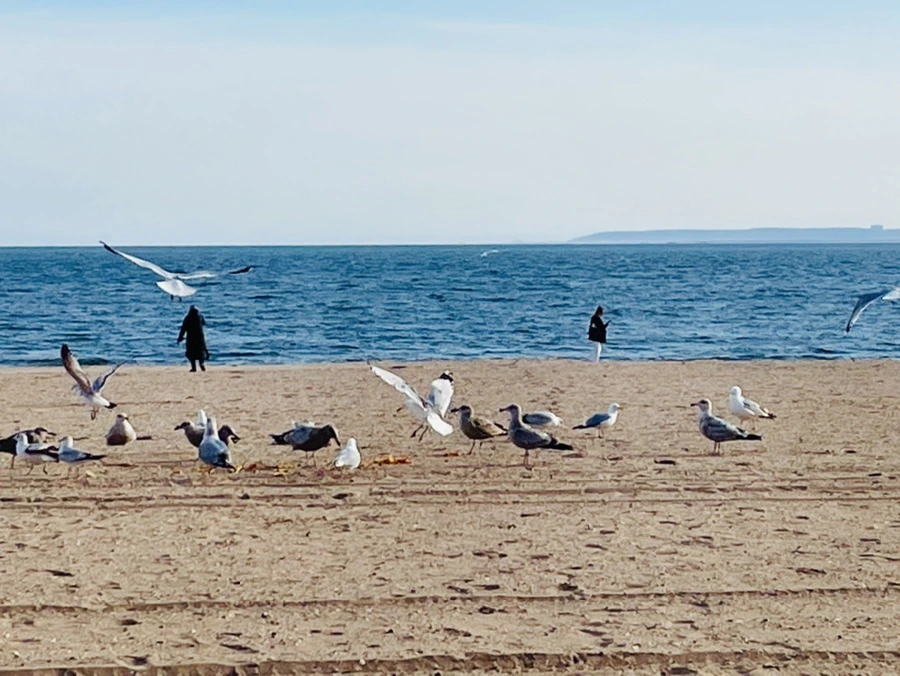 IMG_5037.jpg?type=w966