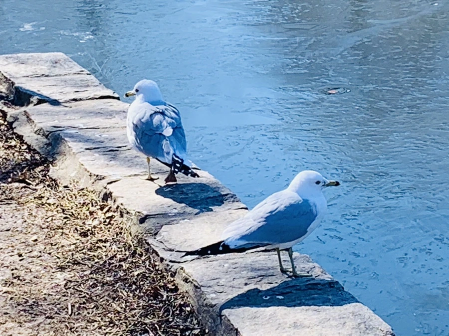 IMG_8897.jpg?type=w966