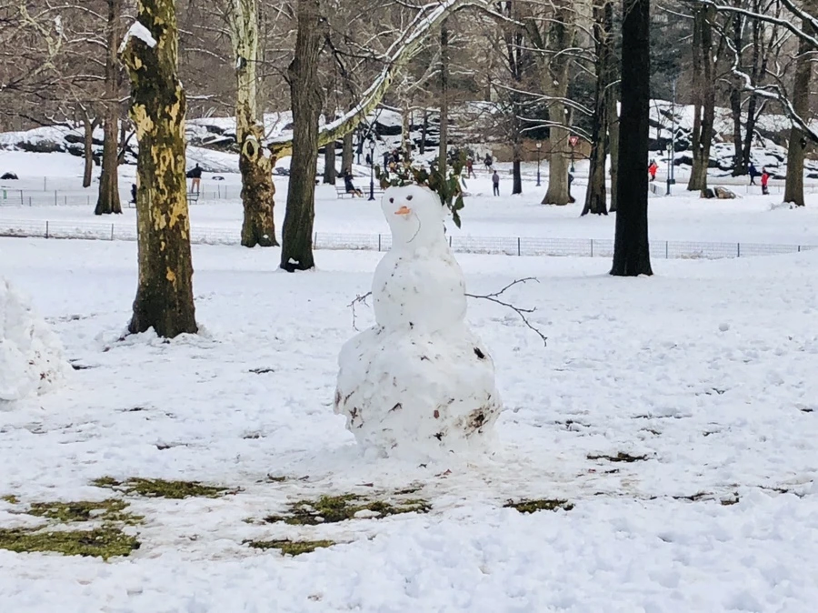 IMG_0383.jpg?type=w966