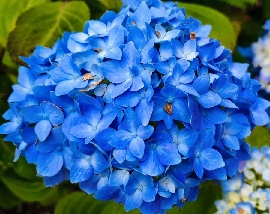 _xggGS6r37itZwjuZb5N0IfZvNY