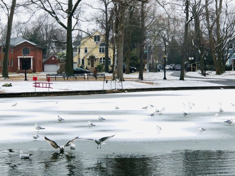 IMG_6312.jpg?type=w966