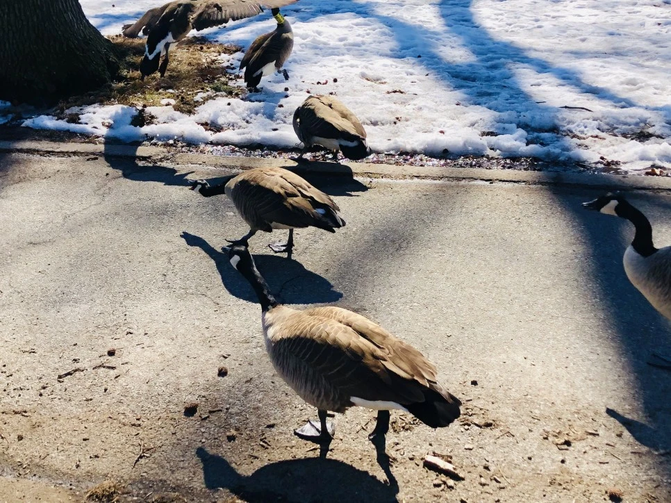 IMG_4570.jpg?type=w966