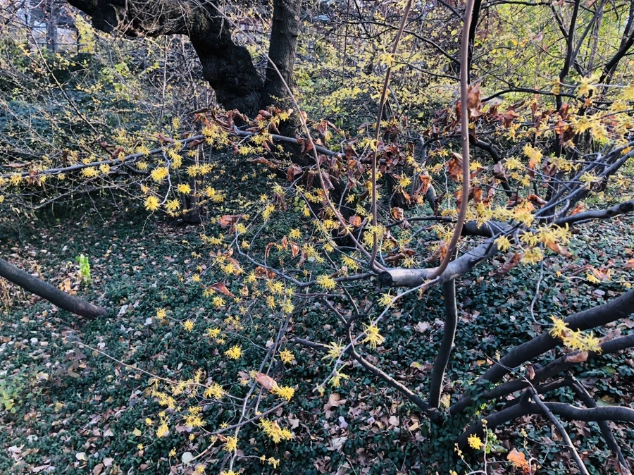 IMG_5337.jpg?type=w966