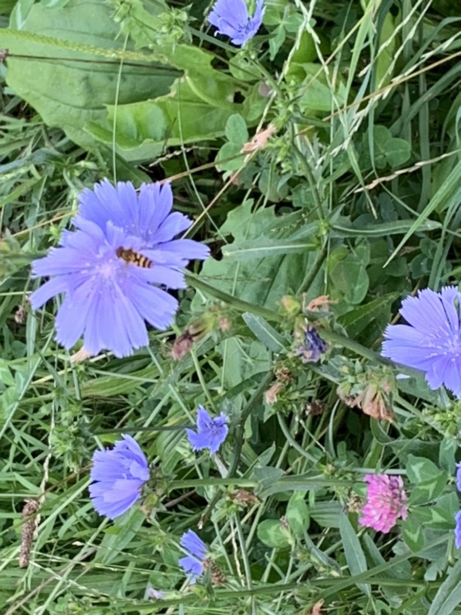 IMG_1627.jpg?type=w966