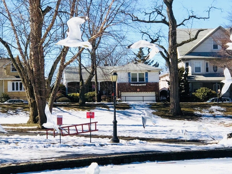 L4s2M3JPQms9z6f1Ki4e4pHhdBQ