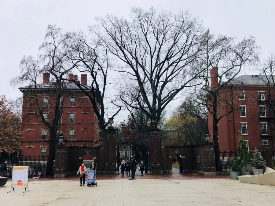 IMG_8090.jpg?type=w966