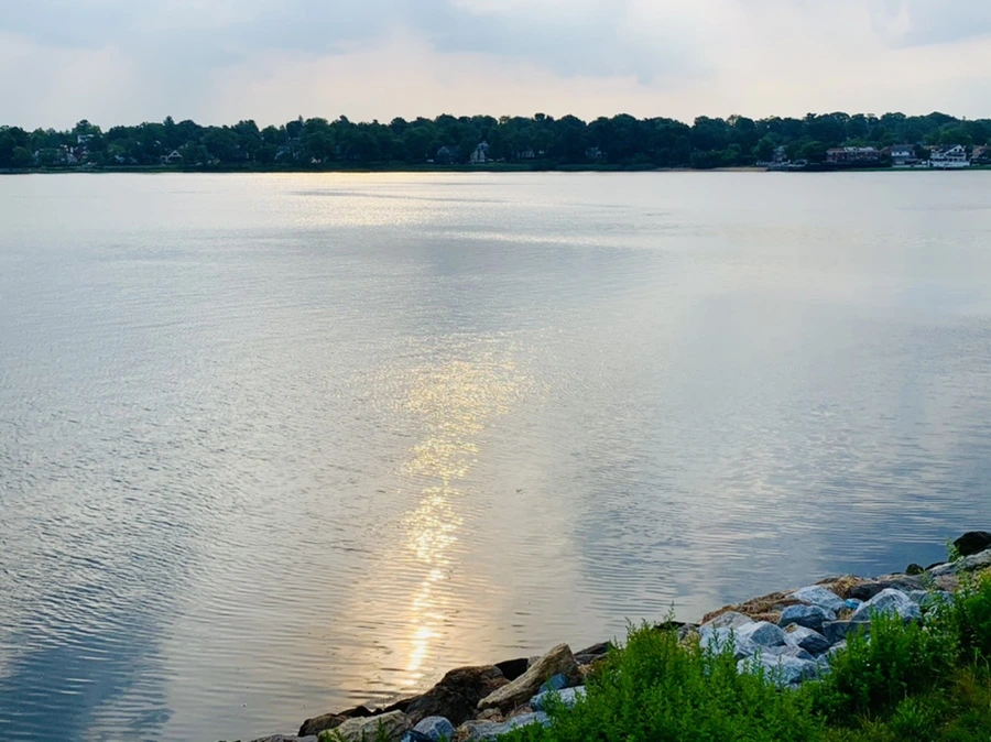 IMG_1583.jpg?type=w966