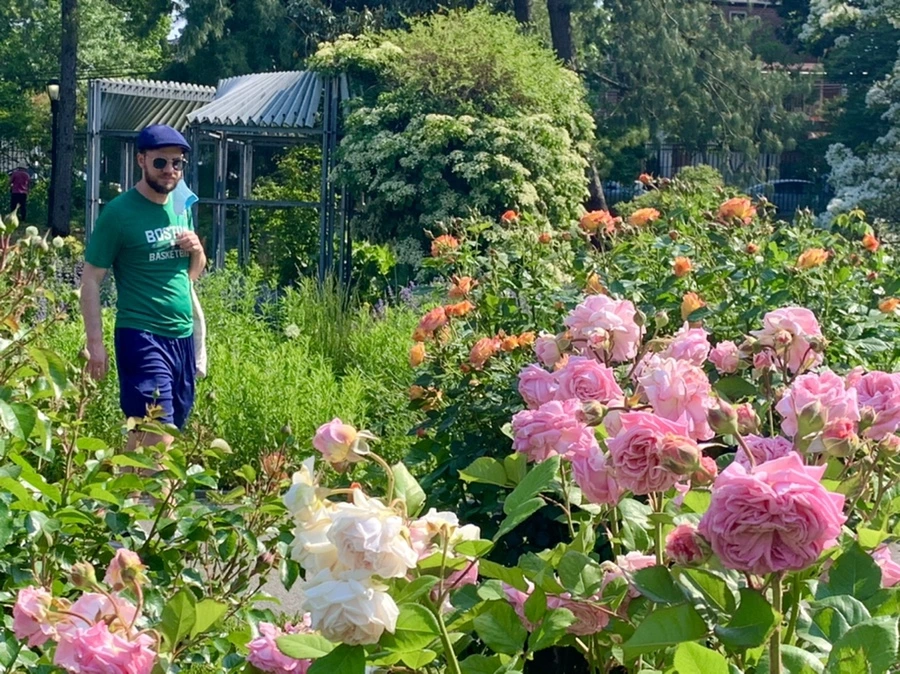 IMG_7637.jpg?type=w966