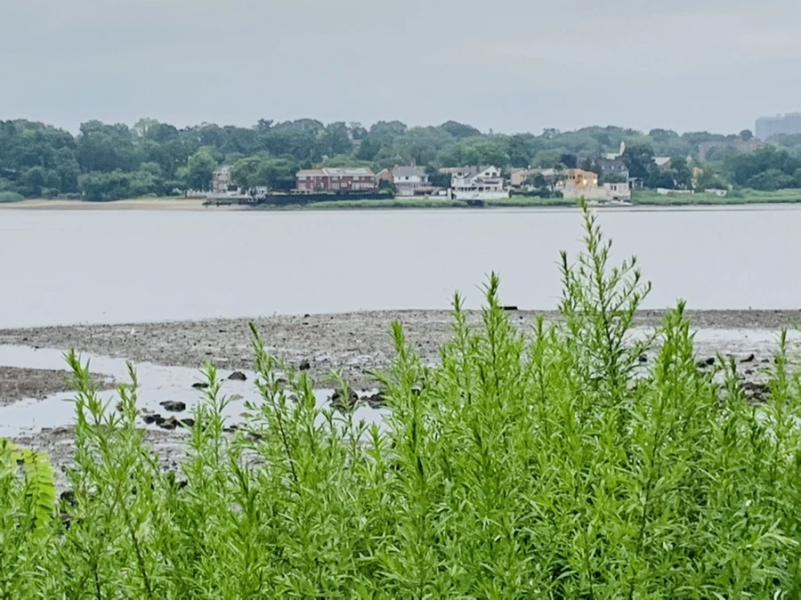 IMG_0790.jpg?type=w966