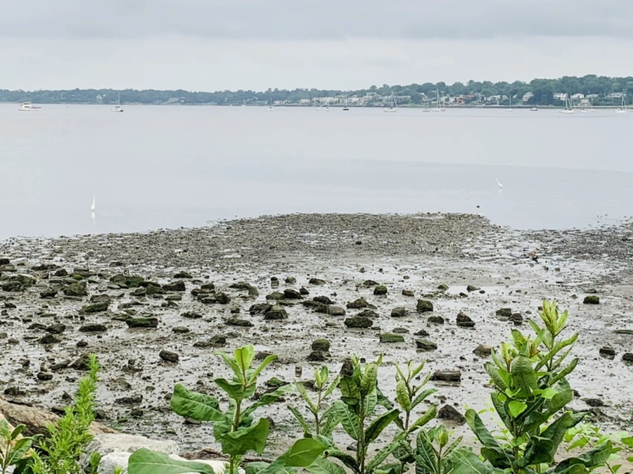 IMG_3707.jpg?type=w966