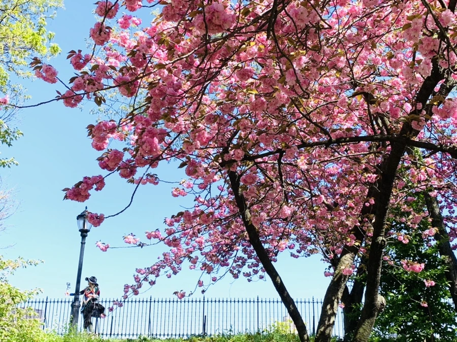 IMG_5889.jpg?type=w966