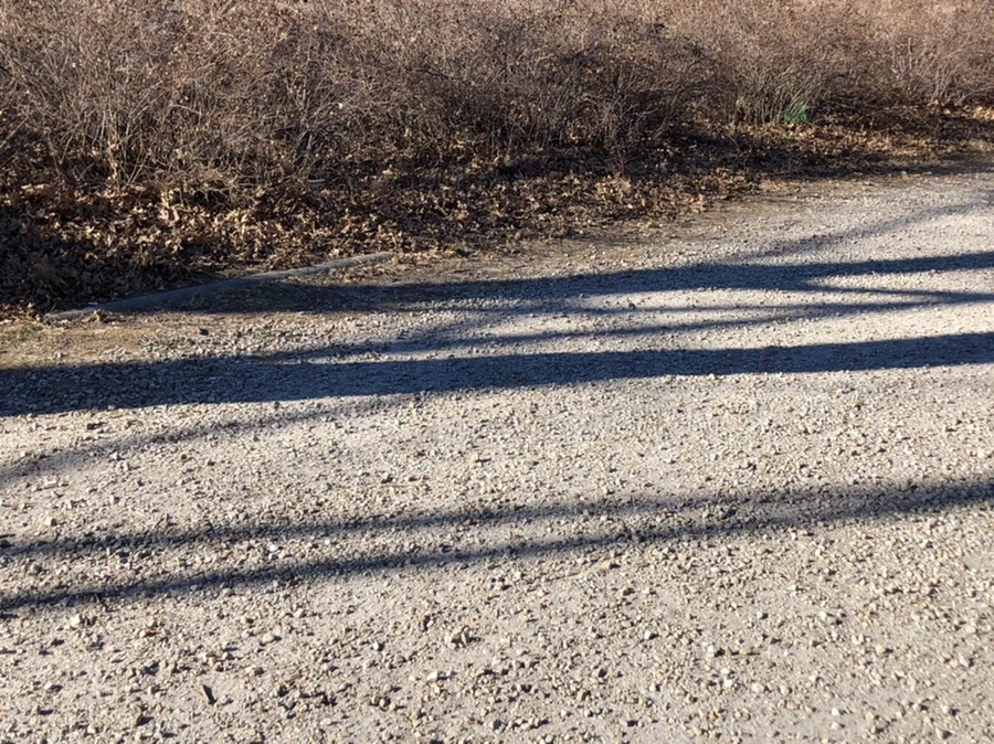 IMG_8149.jpg?type=w966