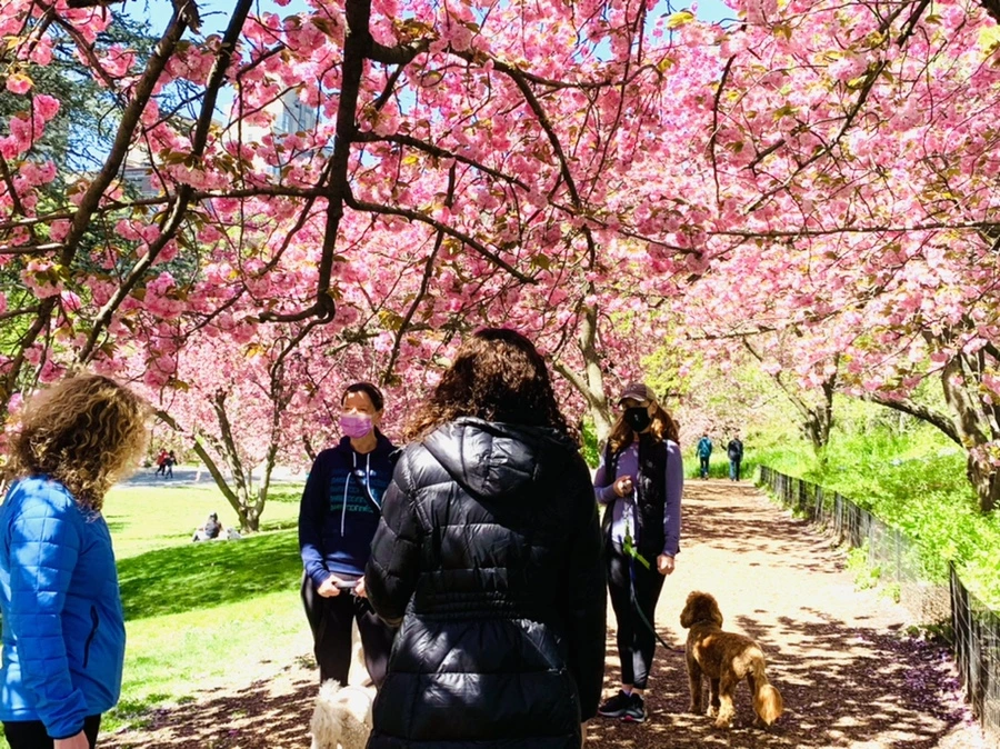 IMG_5910.jpg?type=w966