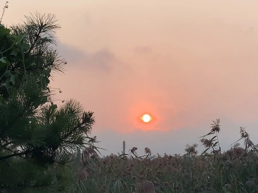 IMG_1138.jpg?type=w966