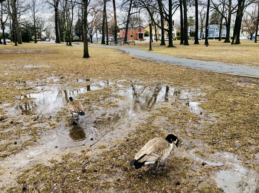 IMG_6556.jpg?type=w966