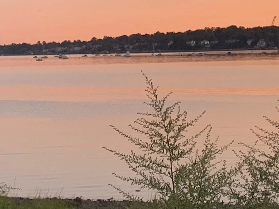 IMG_7465.jpg?type=w966