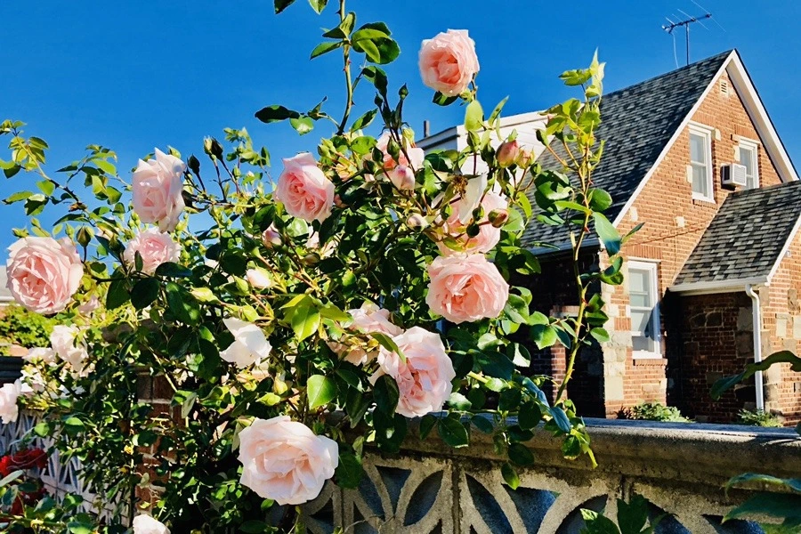 LvJomX8xibgqXQy3yGBqbtkK8RQ