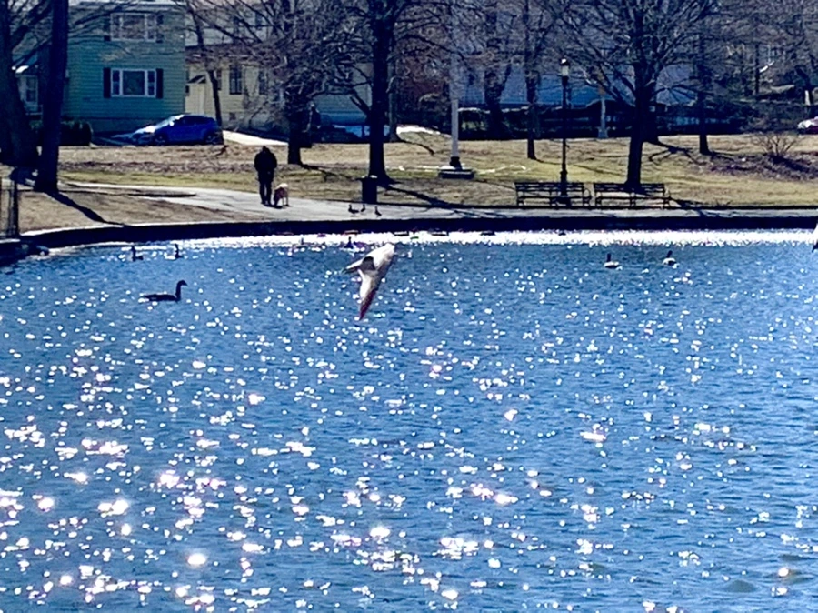 IMG_7583.jpg?type=w966