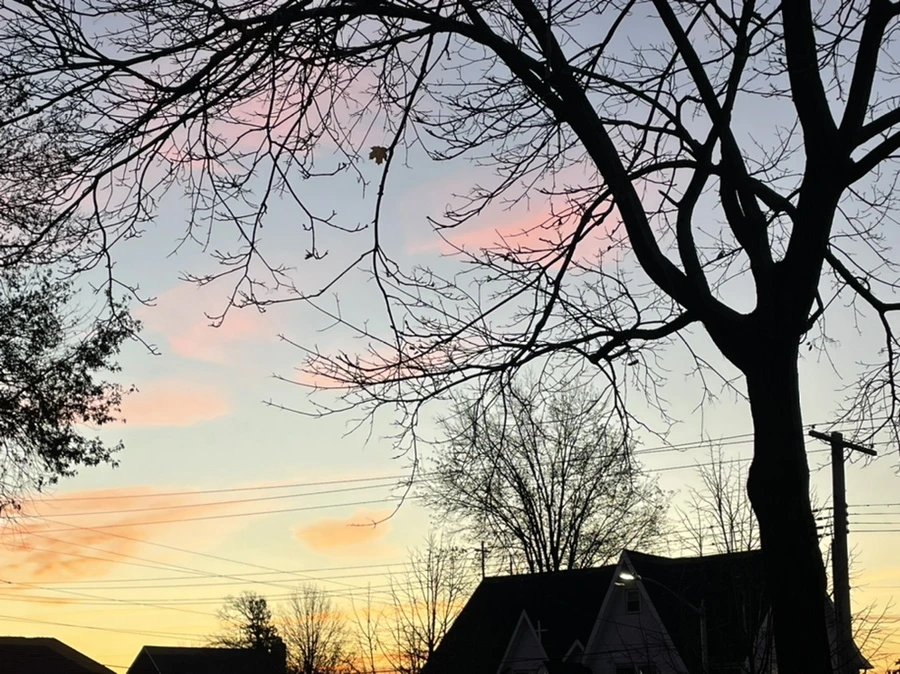 IMG_6877.jpg?type=w966