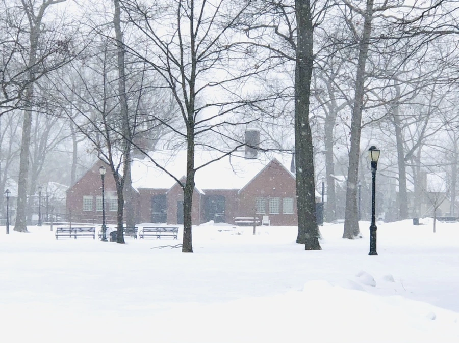 IMG_3385.jpg?type=w966