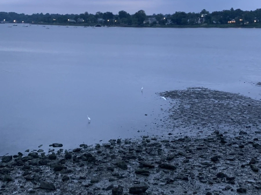 LERtKMgwS8X_QFgK_FPfbY_DMPQ