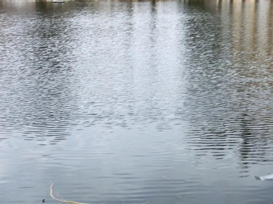 IMG_9946.jpg?type=w966