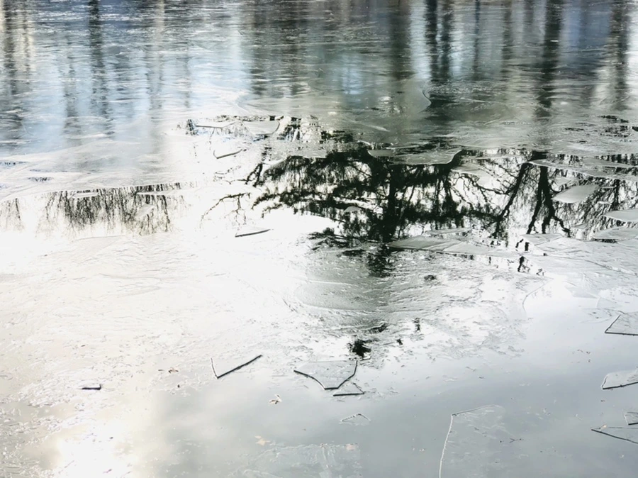 IMG_4758.jpg?type=w966