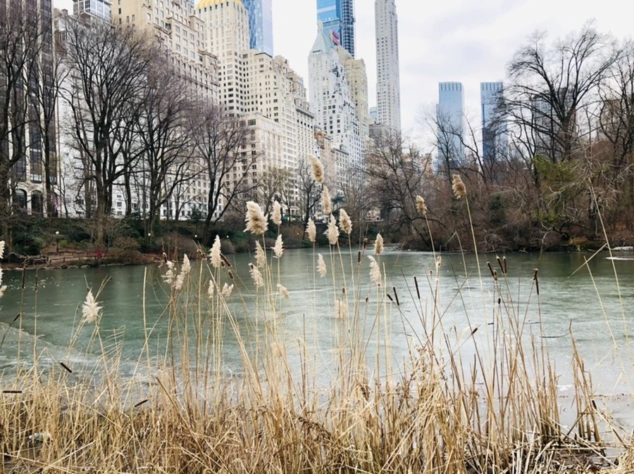 DAokp3HwaRXJpN1Hs_x-kPssirc