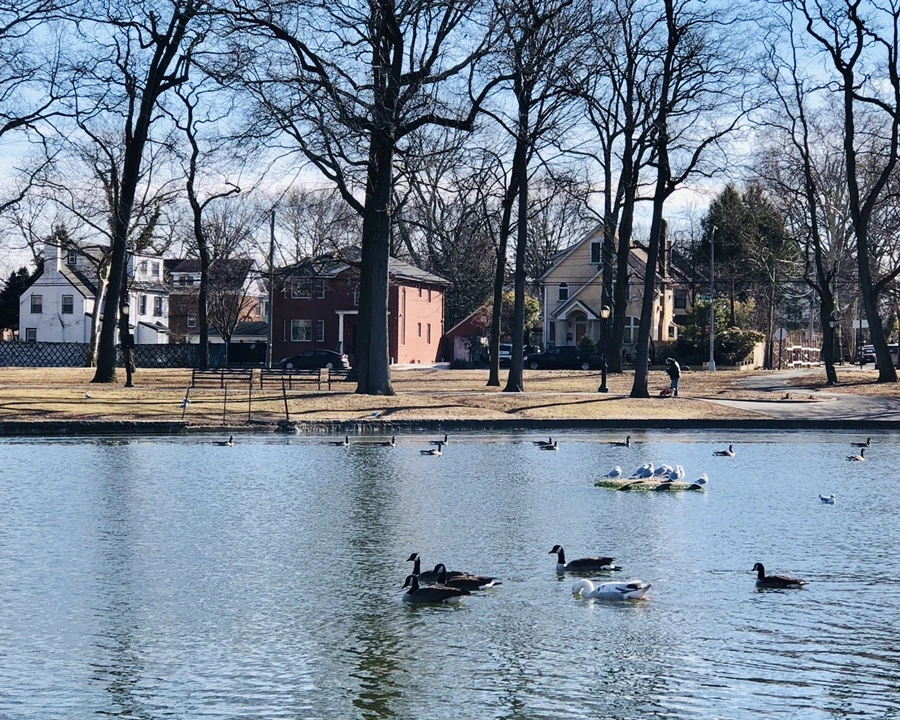 E1QMQnAkfWkfDrdJrJxMoEVci-8