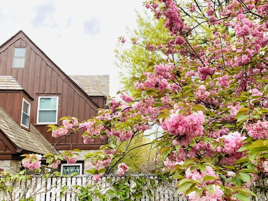 IMG_7153.jpg?type=w966