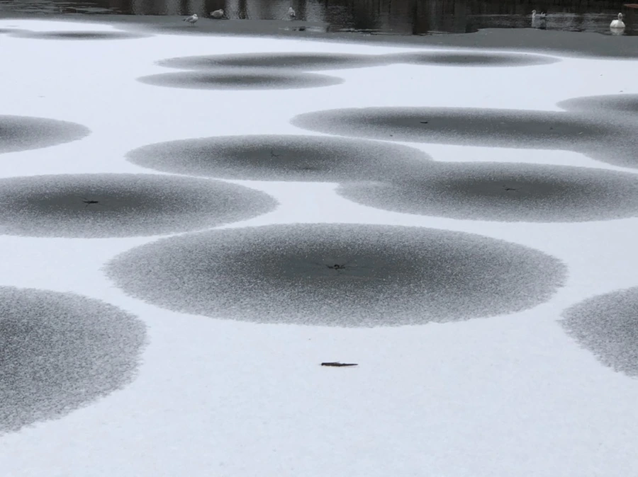 IMG_6173.jpg?type=w966