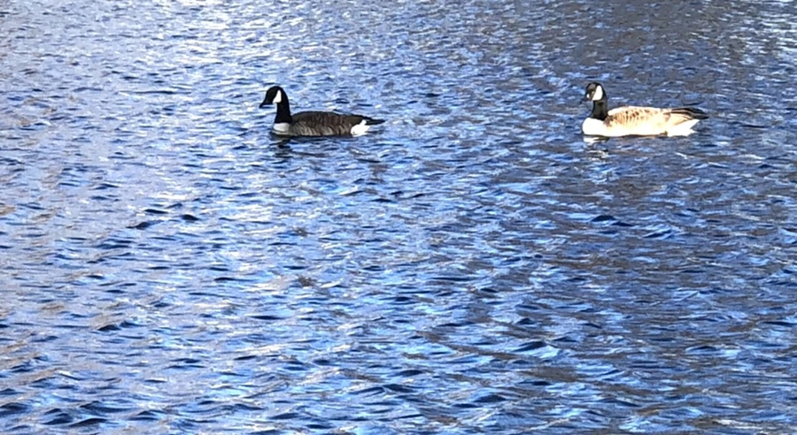 IMG_3888.jpg?type=w966