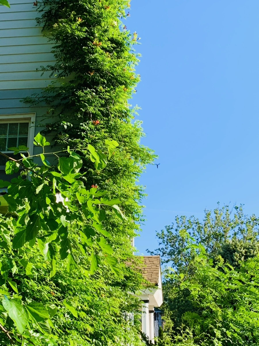 IMG_4831.jpg?type=w966