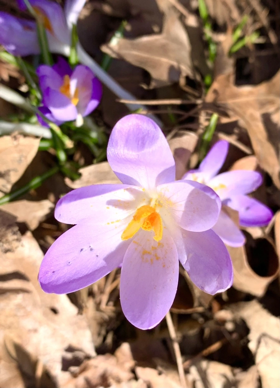 IMG_9614.jpg?type=w966