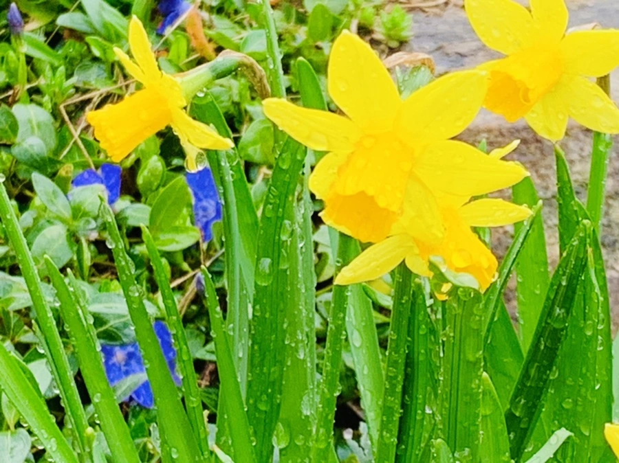 IMG_5016.jpg?type=w966