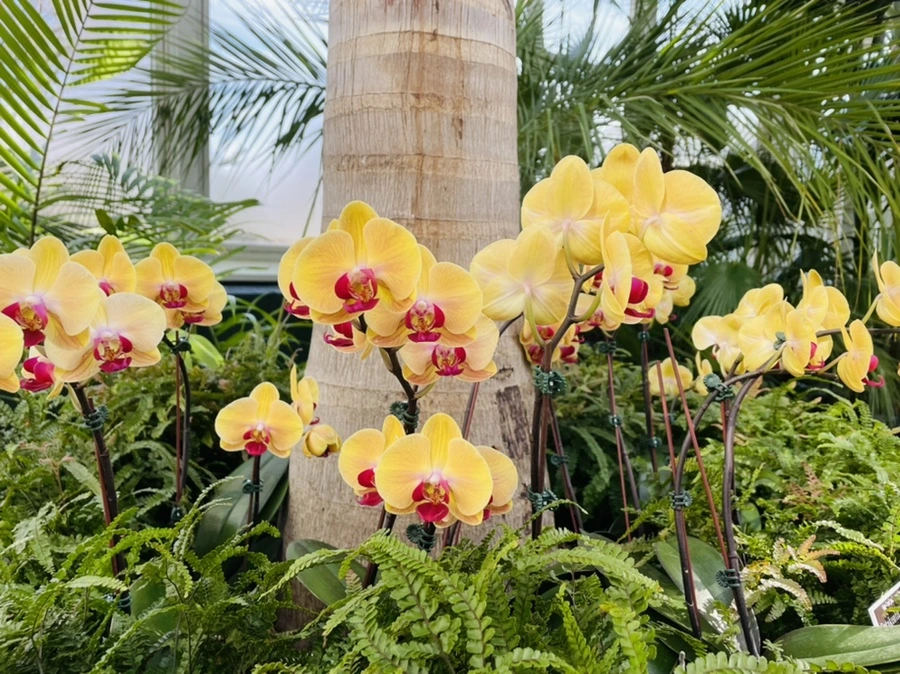 IMG_4428.jpg?type=w966