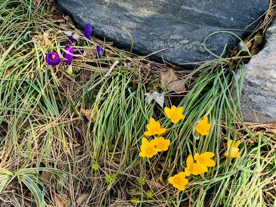 IMG_2975.jpg?type=w966