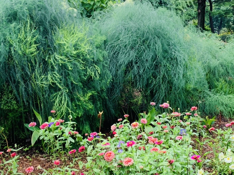 IMG_0994.jpg?type=w966