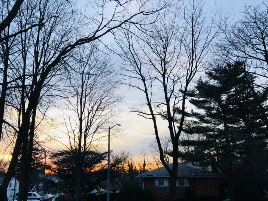 IMG_7980.jpg?type=w966