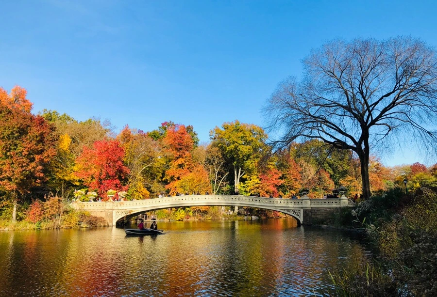 IMG_7528.jpg?type=w966