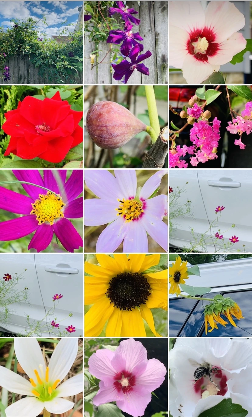 IMG_7345.jpg?type=w966