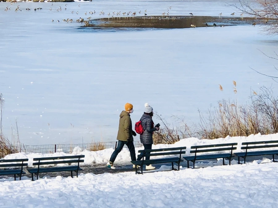 IMG_0789.jpg?type=w966