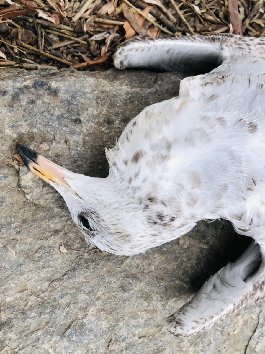 m2O3TJUGRT1bNZJ4MKwx57Kjmvc