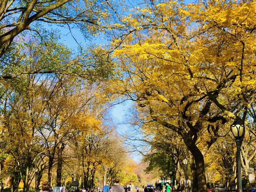 IMG_4254.jpg?type=w966