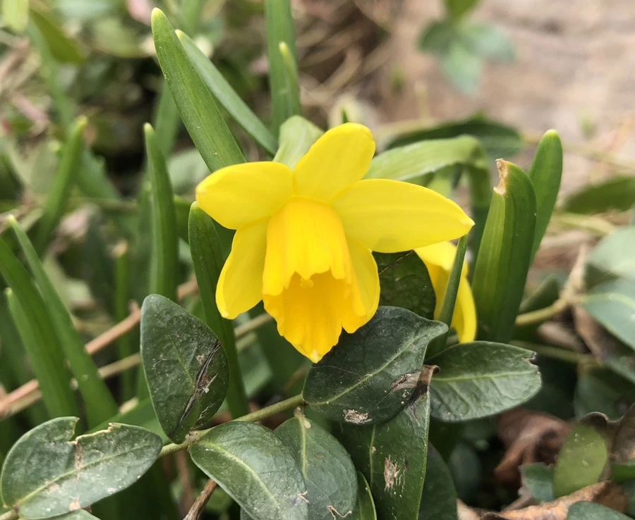 IMG_1881.jpg?type=w966