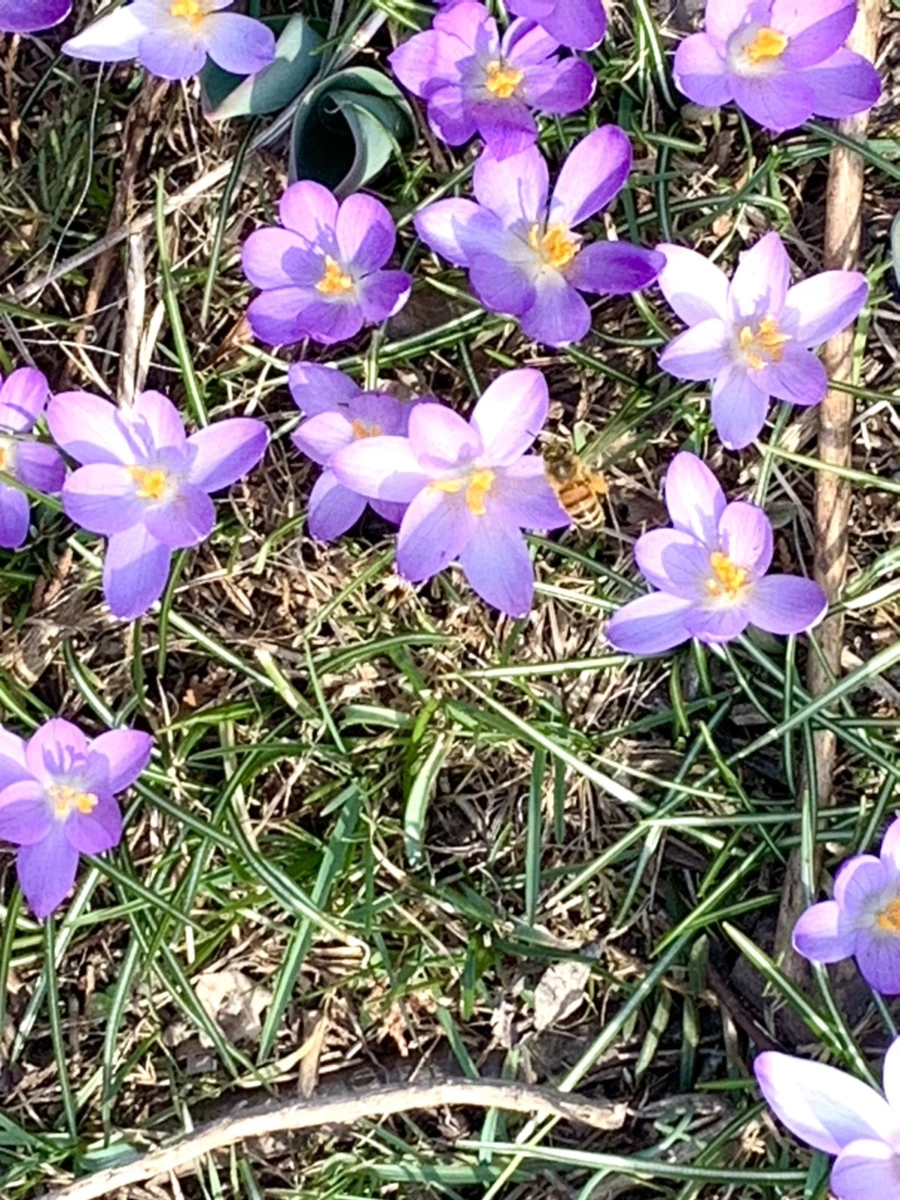 IMG_0215.jpg?type=w966